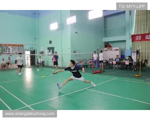 广州排球队战术分析与发展策略探讨助力球队提升竞技水平