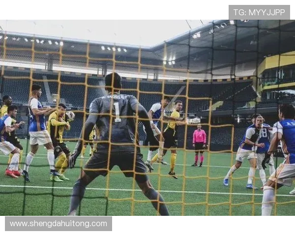 对话李磊：回顾排球生涯中的挑战与成就分享