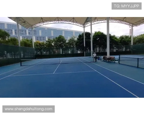 广州网球队与南京网球队赛后复盘分析灵活性表现与战术对比