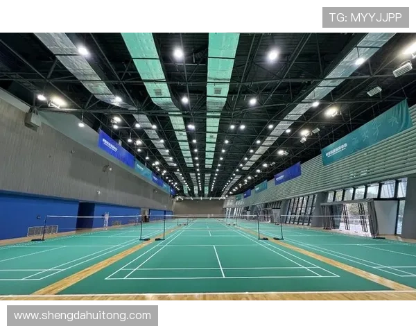 成都羽毛球队转型之路：从传统强队到现代化竞技新标杆的探索与实践